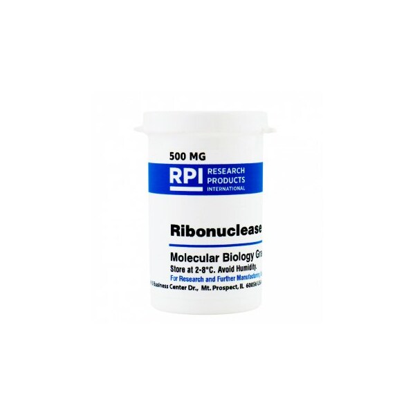 Ribonuclease A, 500 MG